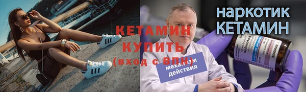 сатива Бородино