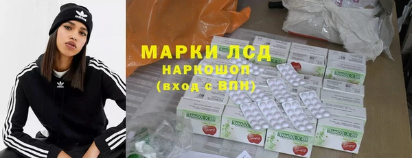 сатива Бородино