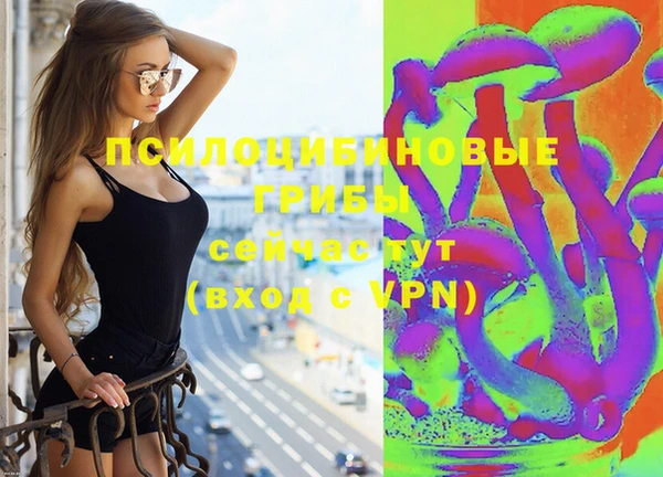 сатива Бородино