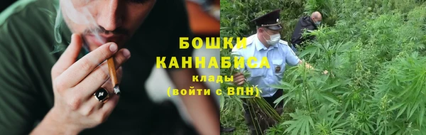 сатива Бородино