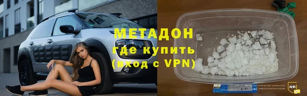 сатива Бородино