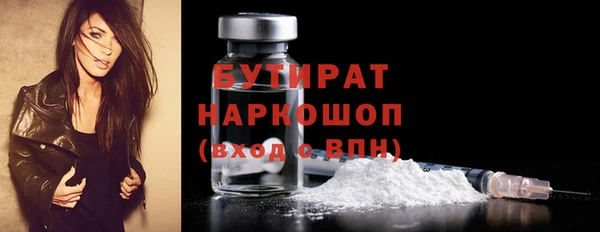 сатива Бородино