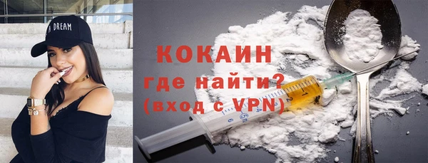 сатива Бородино