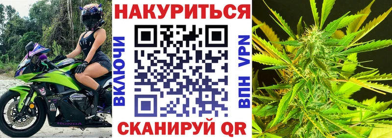OMG как войти  Ува  Марихуана сатива 